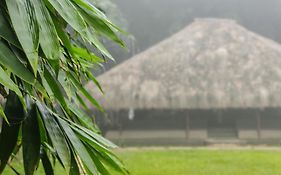 Bamboo Grove